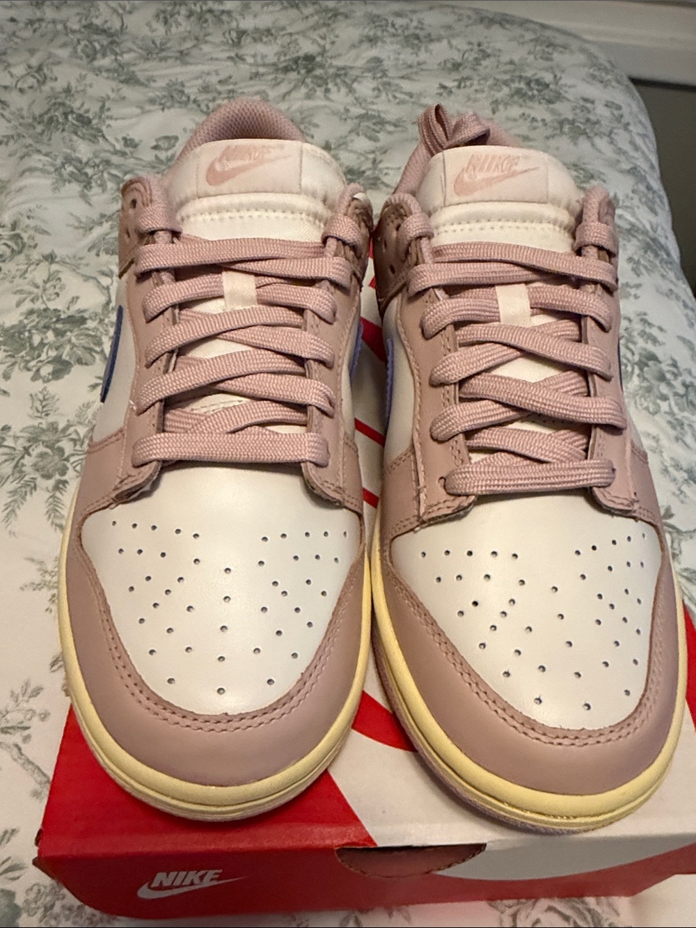 Nike Women’s Dunk Low
